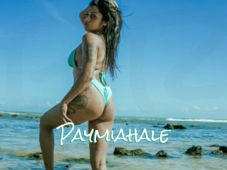 Paymiahale