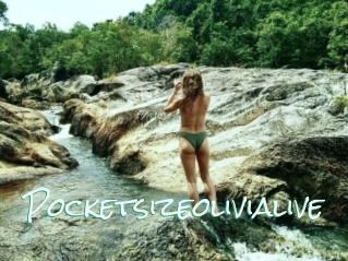 Pocketsizeolivialive