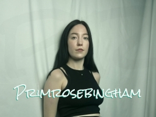 Primrosebingham