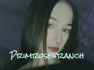 Primrosebranch