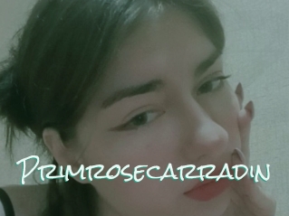 Primrosecarradin