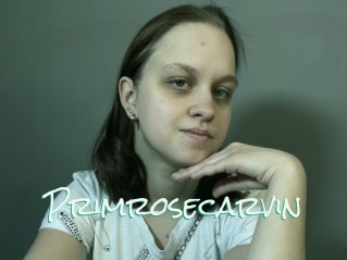 Primrosecarvin