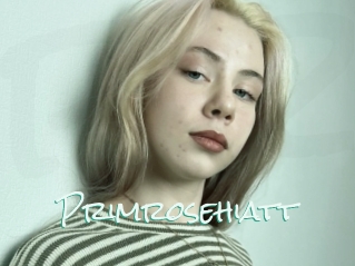 Primrosehiatt