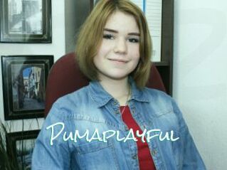 Pumaplayful
