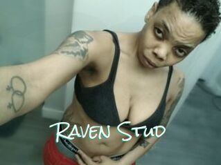 Raven_Stud