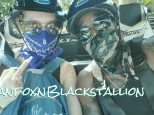 RussianfoxnBlackstallion