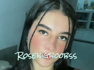 Rosebigboobss