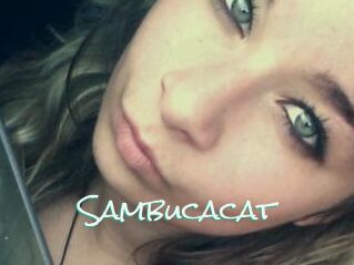 Sambucacat