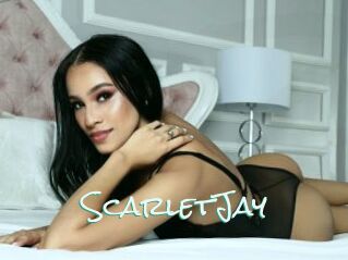 ScarletJay