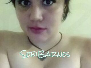 Sebi_Barnes