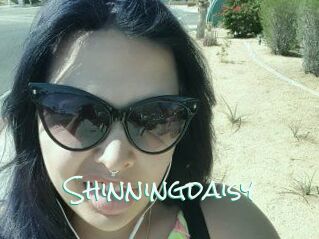 Shinningdaisy