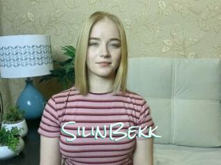 SilinBekk