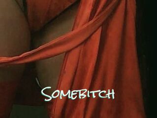 Somebitch
