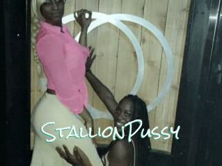 StallionPussy