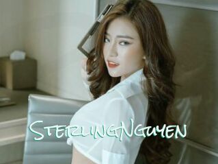 SterlingNguyen