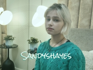 Sandyshayes
