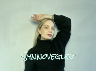 Synnovegleg