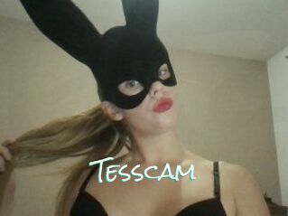 Tesscam