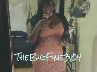 TheBigFine304