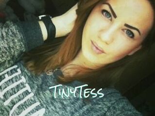 TinyTess
