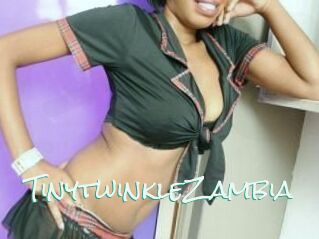 TinytwinkleZambia