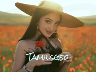 Tamilsgeo