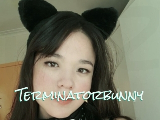 Terminatorbunny