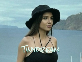 Tinydream