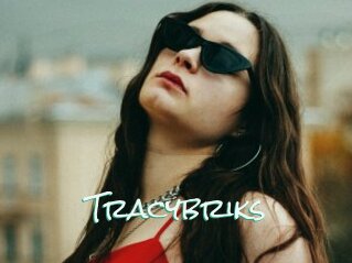 Tracybriks