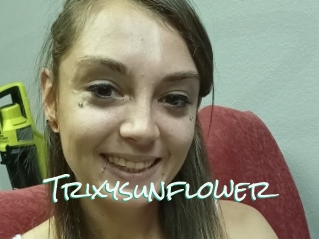Trixysunflower
