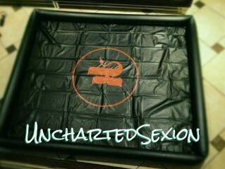 UnchartedSexion