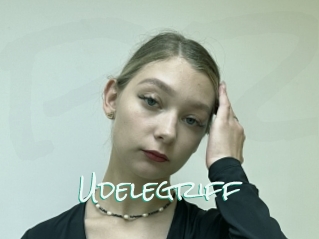 Udelegriff