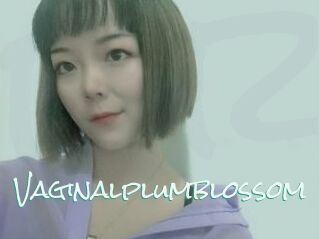 Vaginalplumblossom