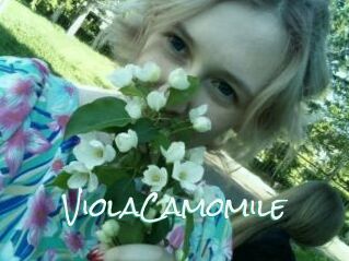 ViolaCamomile