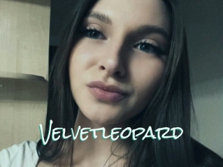 Velvetleopard