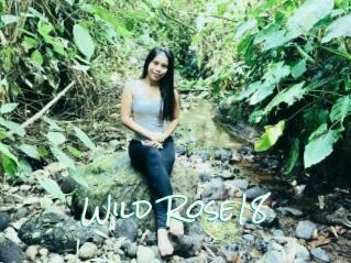 Wild_Rose18