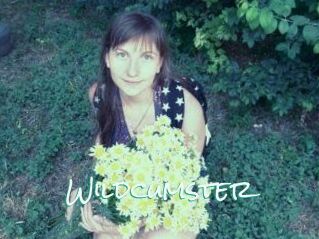 Wildcumster