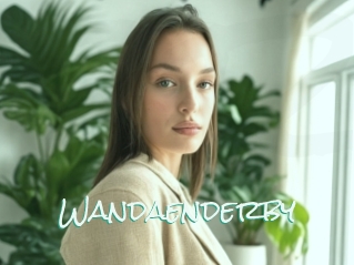 Wandaenderby