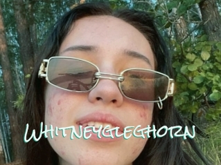Whitneygleghorn