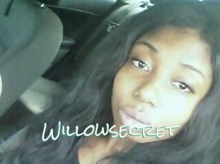 Willow_secret