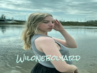 Wilonebolyard
