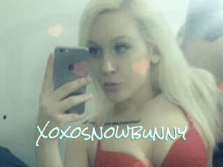 Xoxosnowbunny