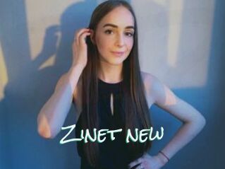 Zinet_new