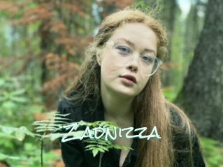Zadnizza