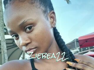 Ziebea22